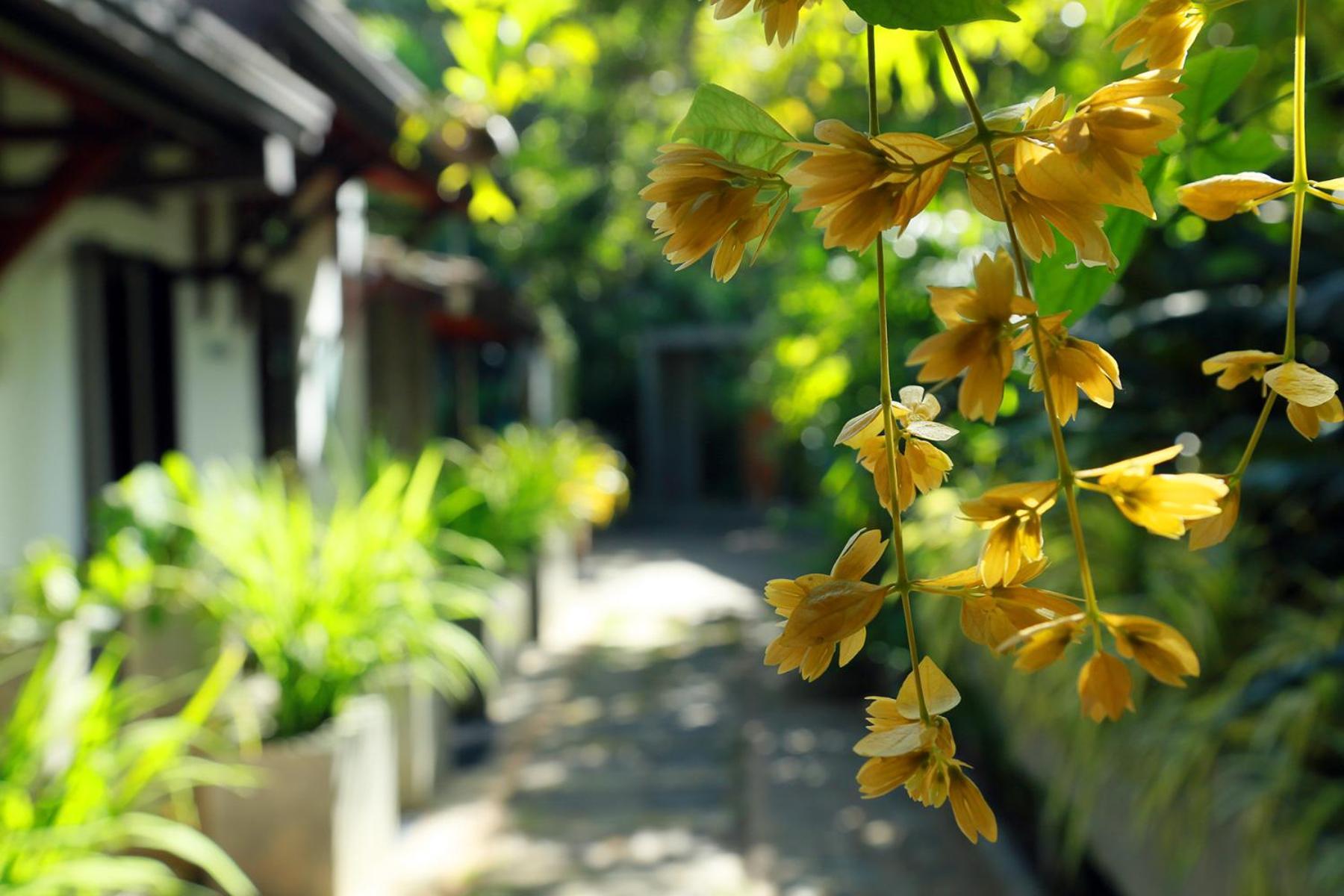 Serene Villa Dikwella Luaran gambar